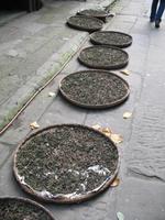 Altstadt von Chongqing &ndash; &copy; Nicole Niendorf (Eberhardt TRAVEL)