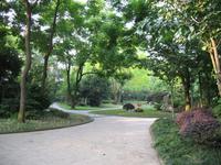 Chongqing &ndash; &copy; Nicole Niendorf (Eberhardt TRAVEL)