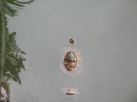 Wuhan - Guiyuan- Kloster &ndash; &copy; Nicole Niendorf (Eberhardt TRAVEL)