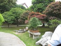 Bonsai-Garten Wuhan &ndash; &copy; Nicole Niendorf (Eberhardt TRAVEL)