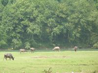 Li-Fluss &ndash; &copy; Nicole Niendorf (Eberhardt TRAVEL)