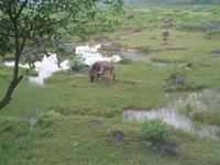 Guilin &ndash; &copy; Nicole Niendorf (Eberhardt TRAVEL)