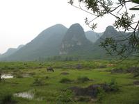 Guilin &ndash; &copy; Nicole Niendorf (Eberhardt TRAVEL)