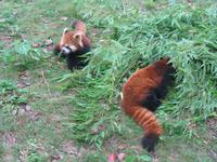 Guilin - Siebensterne-Park &ndash; &copy; Nicole Niendorf (Eberhardt TRAVEL)