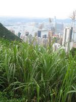 Hongkong - Victoria Peak &ndash; &copy; Nicole Niendorf (Eberhardt TRAVEL)