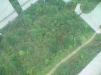 Fahrt mit der Gondel Ngong Ping 360 - Der Glasboden &ndash; &copy; Nicole Niendorf (Eberhardt TRAVEL)