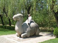 Allee der Seelen &ndash; &copy; Nicole Niendorf (Eberhardt TRAVEL)