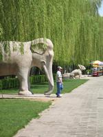 Allee der Seelen &ndash; &copy; Nicole Niendorf (Eberhardt TRAVEL)