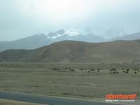 Bahnfahrt nach Lhasa
