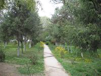 Sommerpalast Norbulinka