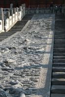 Detailaufnahme in der 