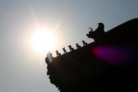 Detailaufnahme in der 