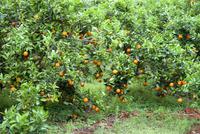 Fahrt über die Dörfer