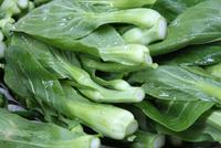 Pak Choi auf einem Markt