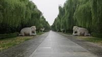 394_Heilige Allee bzw. Geisterallee