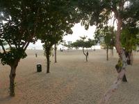 411 Repulse-Bucht