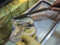 Peking - In einer Perlenzuchtfabrik