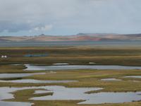 ... wir nähern uns dem See Namtsho Chugmo, einem der heiligen Seen Tibets