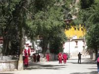 Mönche im Sera-Kloster