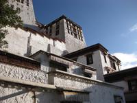 ...ein Blick nach oben