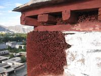 So sehen die Wände des Palastes von Nahem aus 