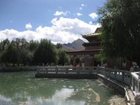 Park neben dem Sommerpalast