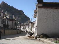 Die Altstadt von Gyantse