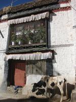 In der Altstadt von Gyantse