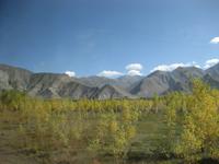 ...auch hier wird es Herbst