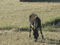 Auf der Fahrt zurück nach Lhase