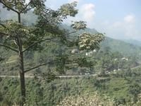 Dort drüben geht es weiter