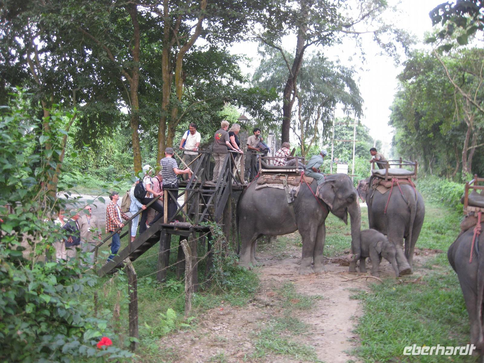 Start zur Elefantensafari im Chitwan Nationalpark