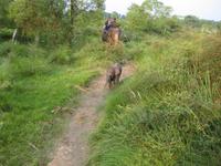 Elefantensafari im Chitwan-Nationalpark