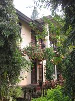 Unsere Bungalows im Grünen