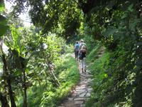 ... unser Weg im Grünen