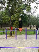 040 Bis ins hohe Alter an der Stange