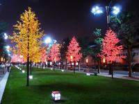 127 Wie an Weihnachten