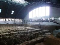 147 Terrakotta-Krieger