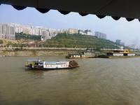 204 Unsere Blicke streifen das Ufer