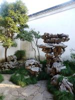 271 Im Garten des Meisters der Netze