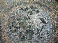 272 Im Garten des Meisters der Netze