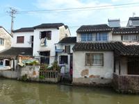 281 Schwieriges Leben am Wasser