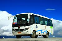 240 Treuer Begleiter