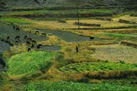 271  In den Bergen Tibets