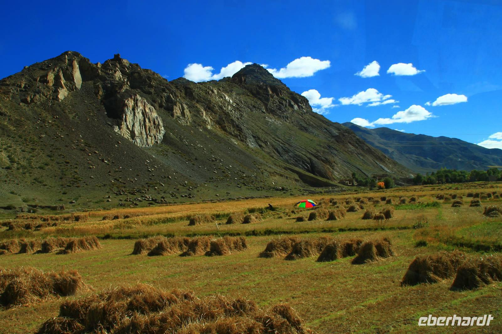 296  In den Bergen Tibets