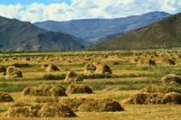 297  In den Bergen Tibets