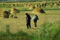 298  In den Bergen Tibets