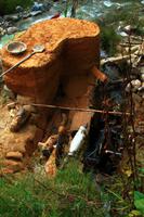 321 Räucherstäbchen