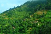 431 Auf dem Weg nach Pokhara