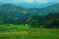 441 Auf dem Weg nach Pokhara